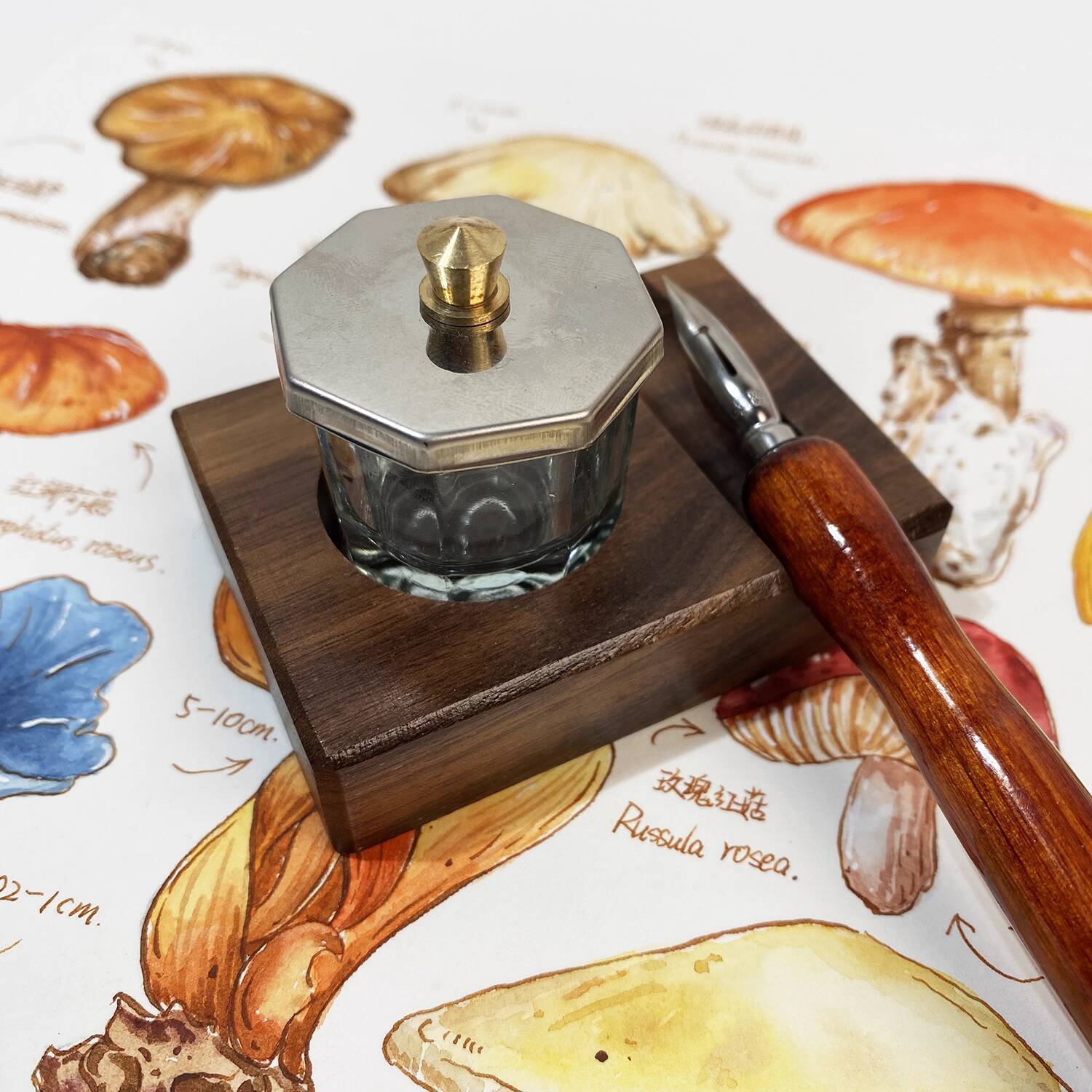 Base de tinta para bolígrafo,  - Calligraphy Ink Bottle reseña y precio